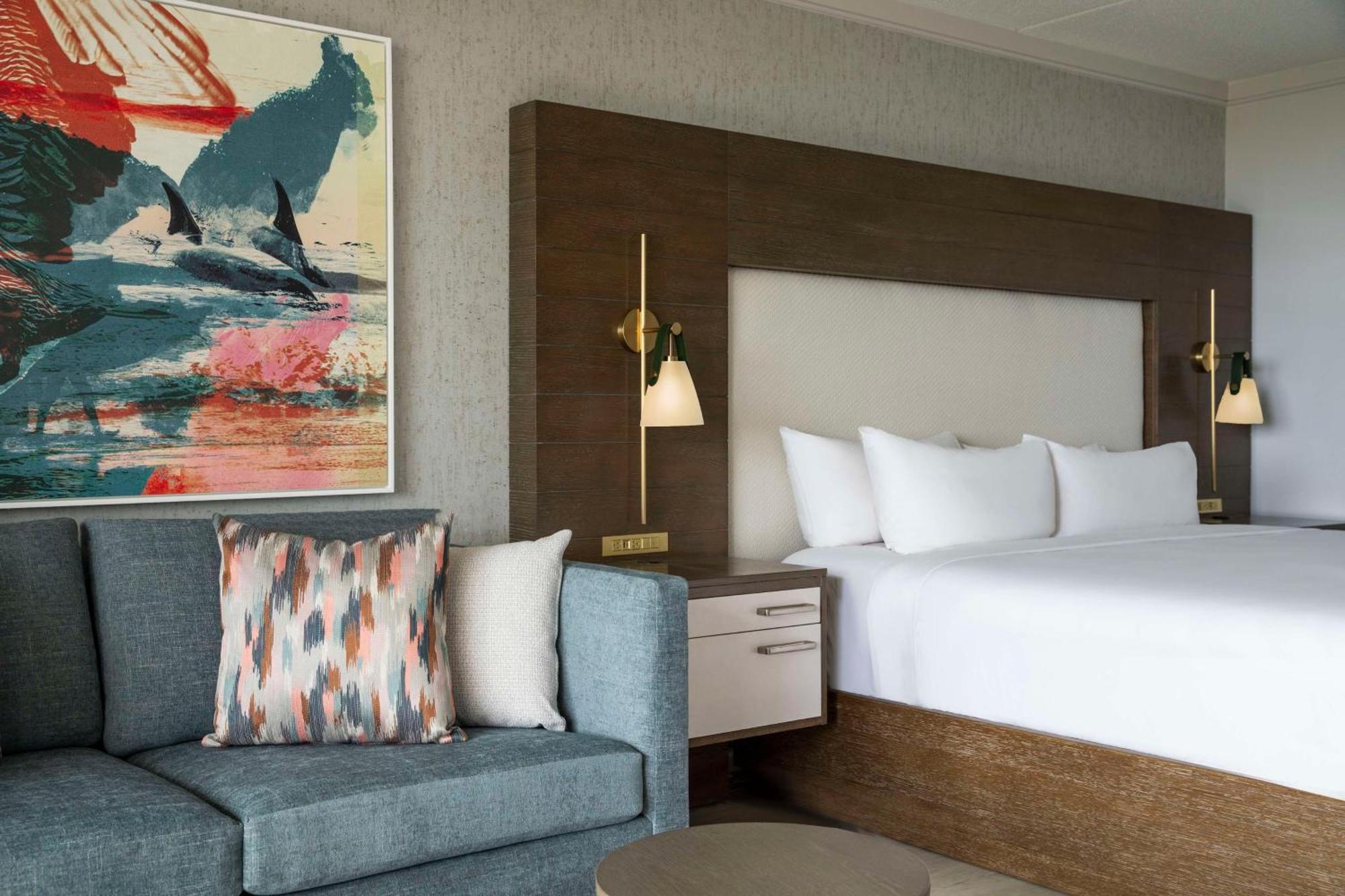 Terrace Room - King - Sofa Bed,1717032344:JPEG